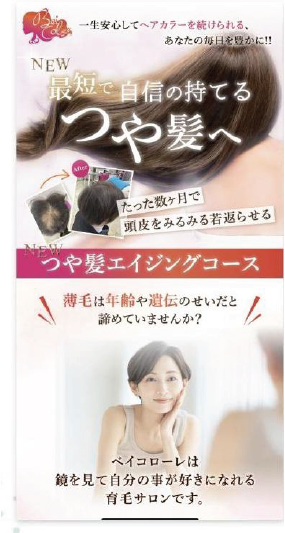 LP風・長文訴求ページの作成例