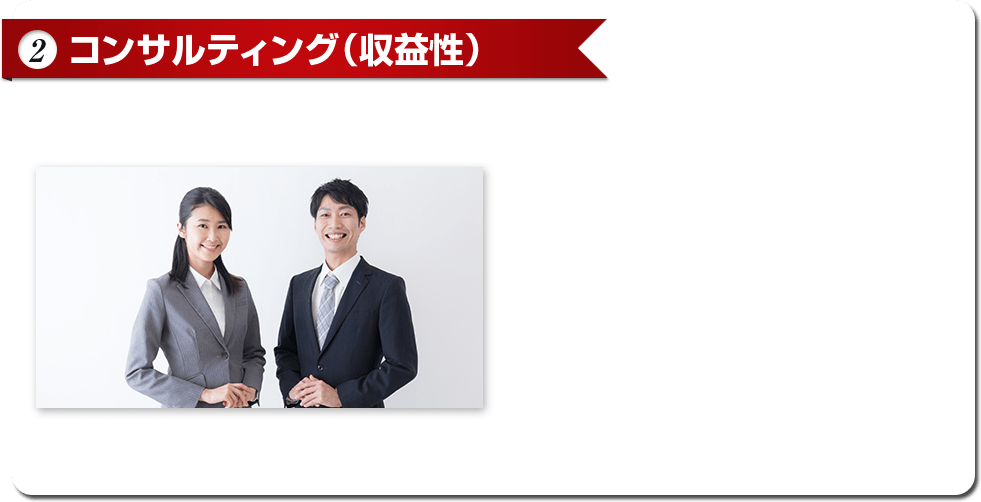 (2) コンサルティング（収益性）