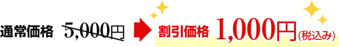 割引価格1,000円(税込み)