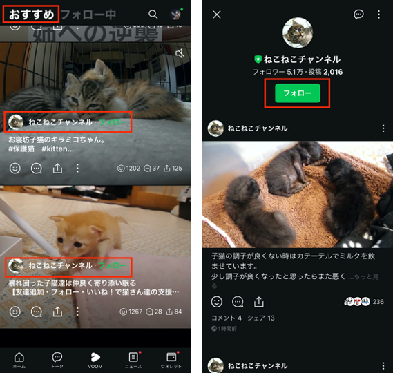 LINE公式アカウントをフォローする方法