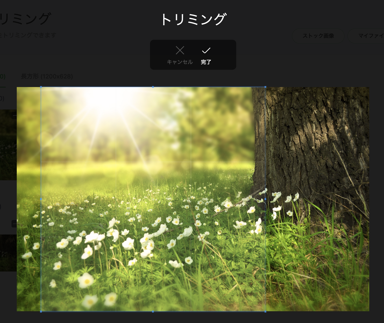 LINE Creative Labテンプレート