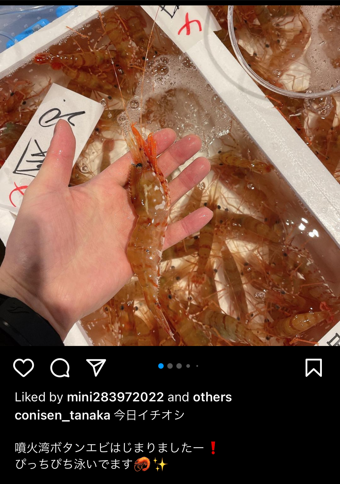 鮮魚の写真投稿