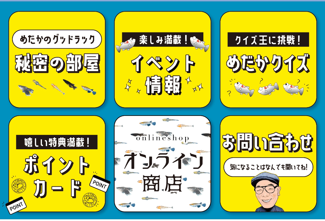 めだかのグッドラックリッチメニュー