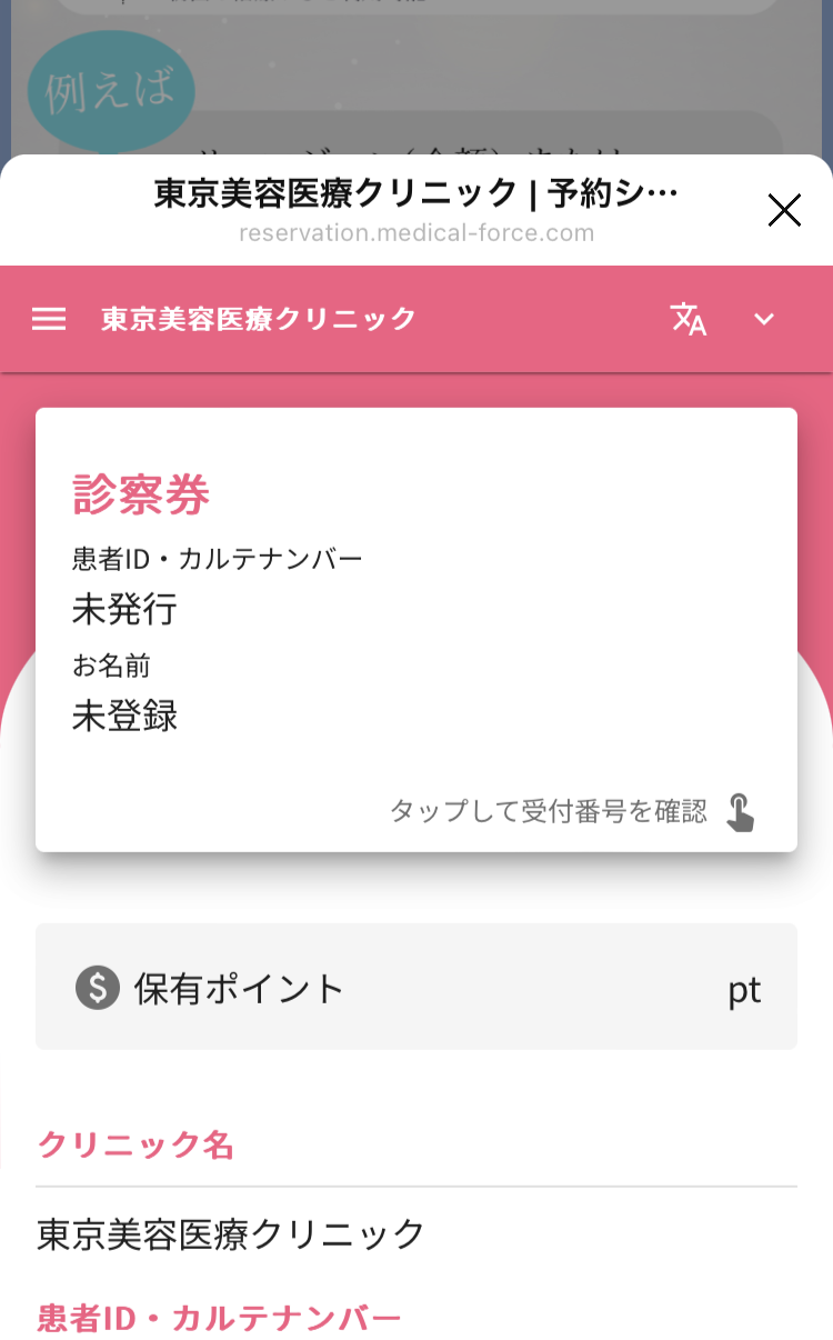 カルテシステム