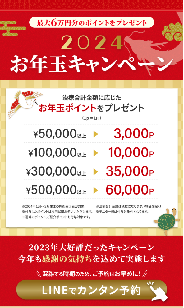 お年玉キャンペーン