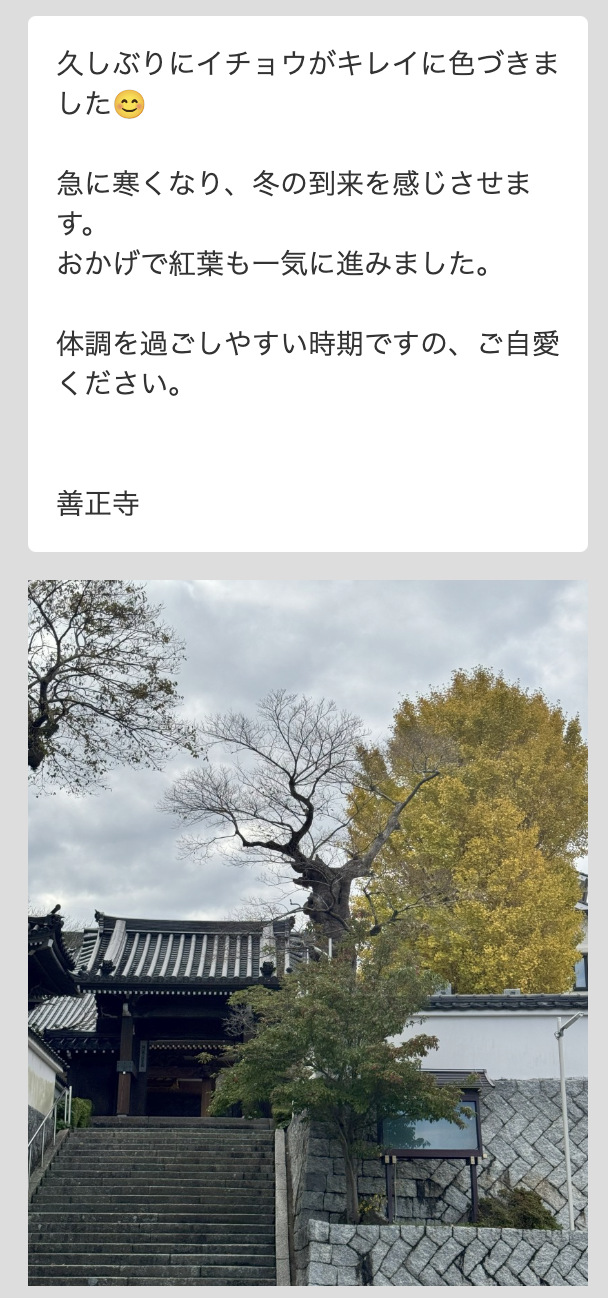 Lステップ　Lステップを善正寺