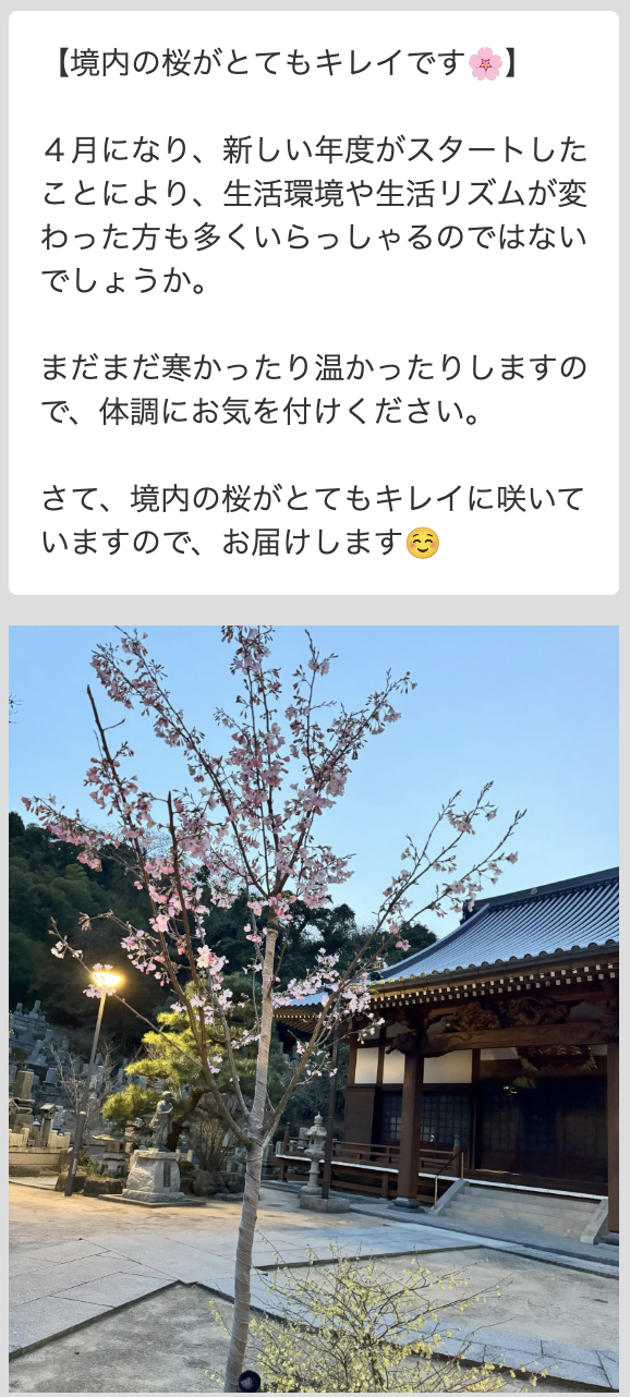 Lステップ　Lステップ善正寺