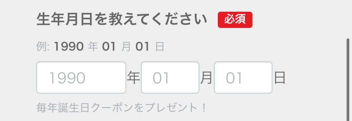 生年月日や予約日などの入力
