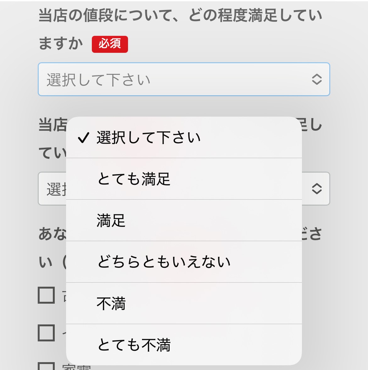 プルダウン＞各項目を入力