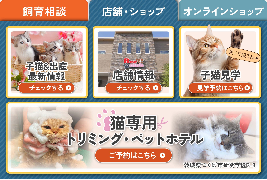 ビークラブ猫店様のリッチメニュー