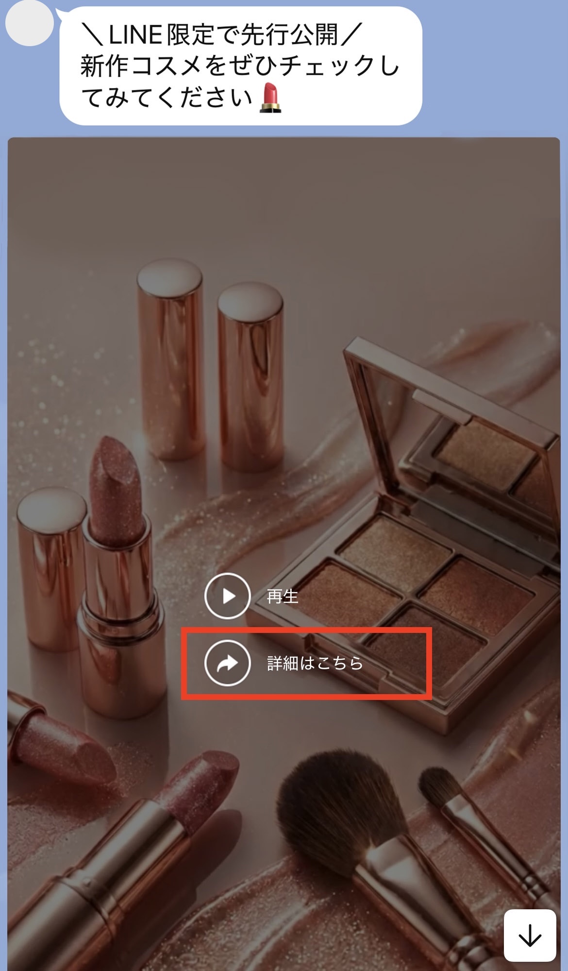 リッチビデオメッセージの例
