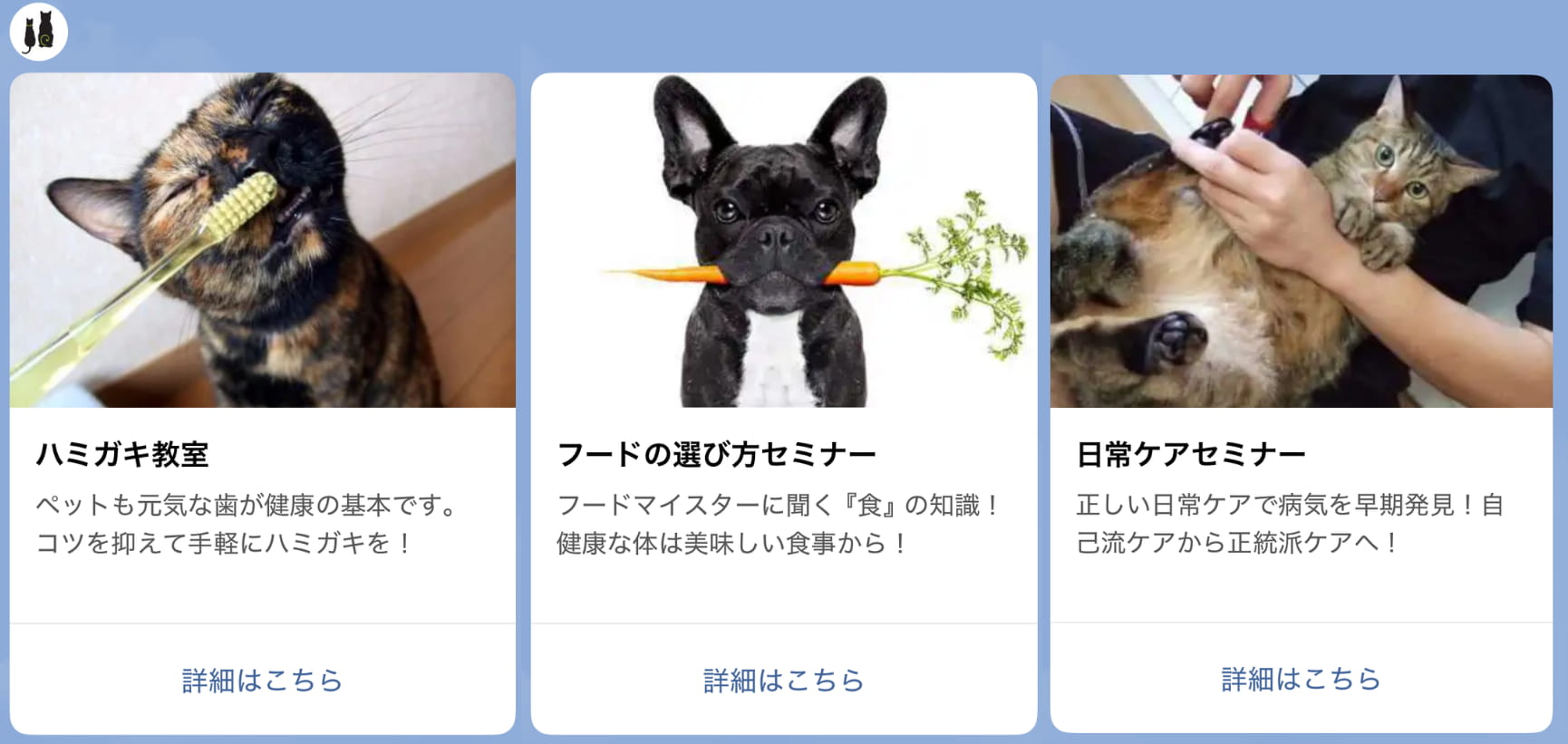 ペットの種類や年齢に合わせて参加できる