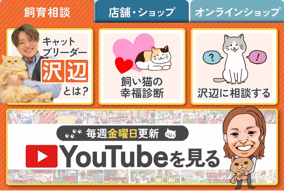 、YouTube登録者数10万人以上のインフルエンサーリッチメニュー